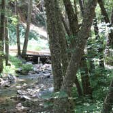 Review photo of Nacimiento Campground by Annie C., July 1, 2018