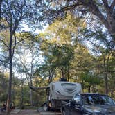 Review photo of Palmetto State Park Campground by Drexel M., September 26, 2021