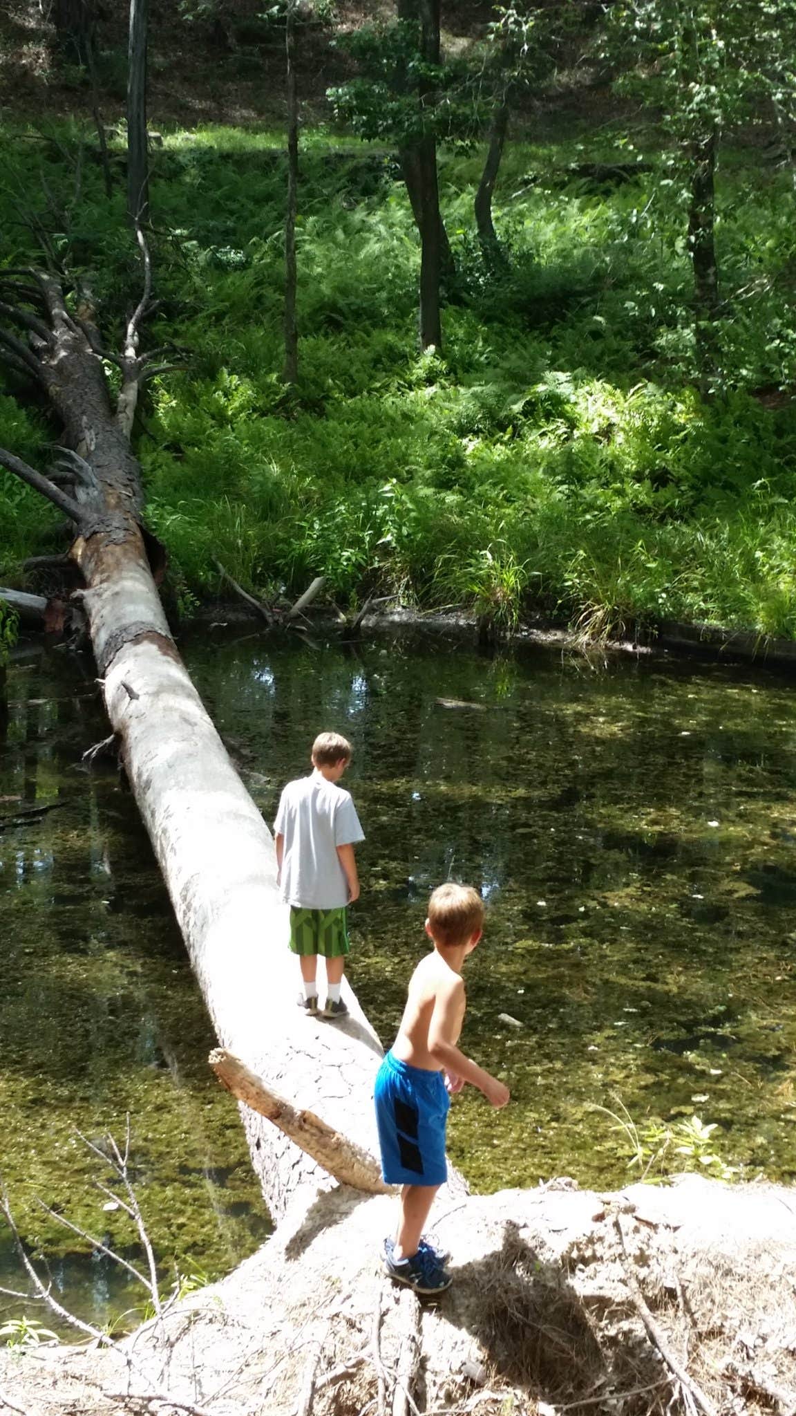 Camper submitted image from Gum Springs Recreation Area — Kisatchie National Forest - 5