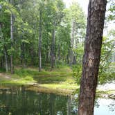 Review photo of Gum Springs Recreation Area — Kisatchie National Forest by Paula W., July 1, 2018