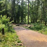 Review photo of Boot Lake Campground by Art S., September 26, 2021