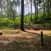 Review photo of Boot Lake Campground by Art S., September 26, 2021