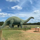 Review photo of Dinosaur Valley State Park — Dinosaur Valley State Park by Nancy F., September 26, 2021