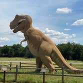 Review photo of Dinosaur Valley State Park — Dinosaur Valley State Park by Nancy F., September 26, 2021