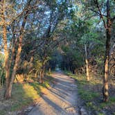 Review photo of Dinosaur Valley State Park — Dinosaur Valley State Park by Nancy F., September 26, 2021