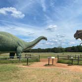 Review photo of Dinosaur Valley State Park — Dinosaur Valley State Park by Nancy F., September 26, 2021