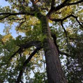 Review photo of Dinosaur Valley State Park — Dinosaur Valley State Park by Nancy F., September 26, 2021