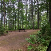 Review photo of Morgan Lake Campground And Group Site by Art S., September 26, 2021
