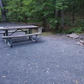 Review photo of High Point State Park Campground by Dwight D., September 26, 2021