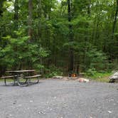 Review photo of High Point State Park Campground by Dwight D., September 26, 2021