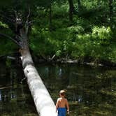 Review photo of Gum Springs Recreation Area — Kisatchie National Forest by Paula W., July 1, 2018