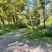 Review photo of Worthington State Forest Campground — Delaware Water Gap National Recreation Area by Ryan , September 26, 2021