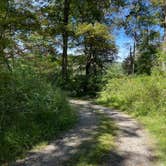 Review photo of Worthington State Forest Campground — Delaware Water Gap National Recreation Area by Ryan , September 26, 2021
