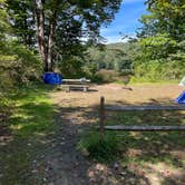 Review photo of Worthington State Forest Campground — Delaware Water Gap National Recreation Area by Ryan , September 26, 2021