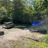 Review photo of Worthington State Forest Campground — Delaware Water Gap National Recreation Area by Ryan , September 26, 2021