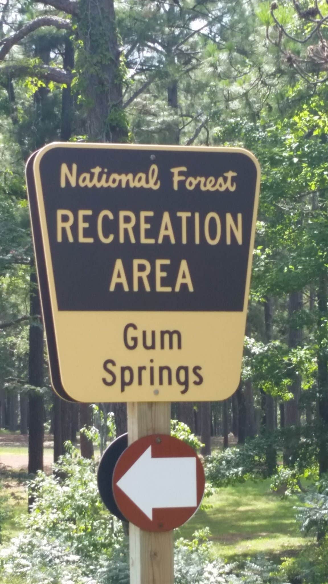 Camper-submitted photo at Gum Springs Recreation Area — Kisatchie National Forest near Winnfield, LA