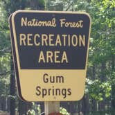 Review photo of Gum Springs Recreation Area — Kisatchie National Forest by Paula W., July 1, 2018