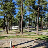 Review photo of Yogi Bear's Jellystone Park Luray by Outdorothy O., September 26, 2021