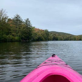 view of the pond from a rental kayak