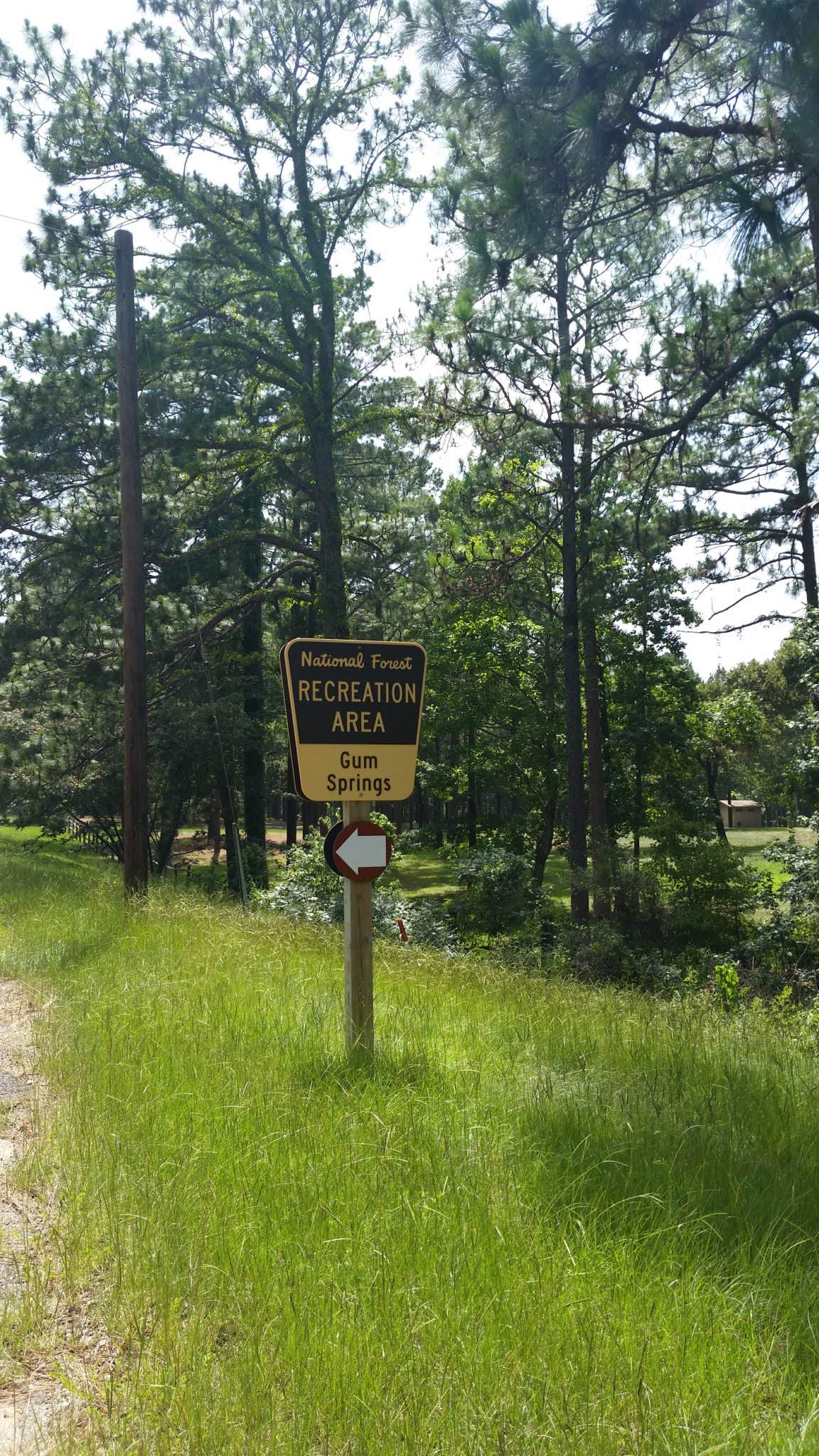 Camper-submitted photo at Gum Springs Recreation Area — Kisatchie National Forest near Winnfield, LA