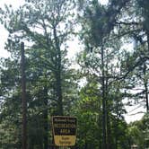 Review photo of Gum Springs Recreation Area — Kisatchie National Forest by Paula W., July 1, 2018