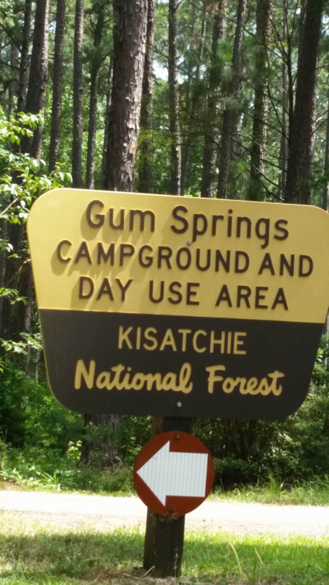 Camper-submitted photo at Gum Springs Recreation Area — Kisatchie National Forest near Winnfield, LA