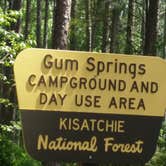 Review photo of Gum Springs Recreation Area — Kisatchie National Forest by Paula W., July 1, 2018