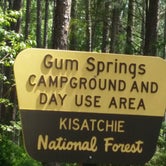 Review photo of Kisatchie National Forest Gum Springs Campground by Paula W., July 1, 2018