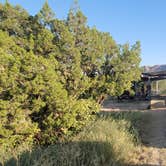 Review photo of Juniper Campground — Palo Duro Canyon State Park by Tyler , September 26, 2021