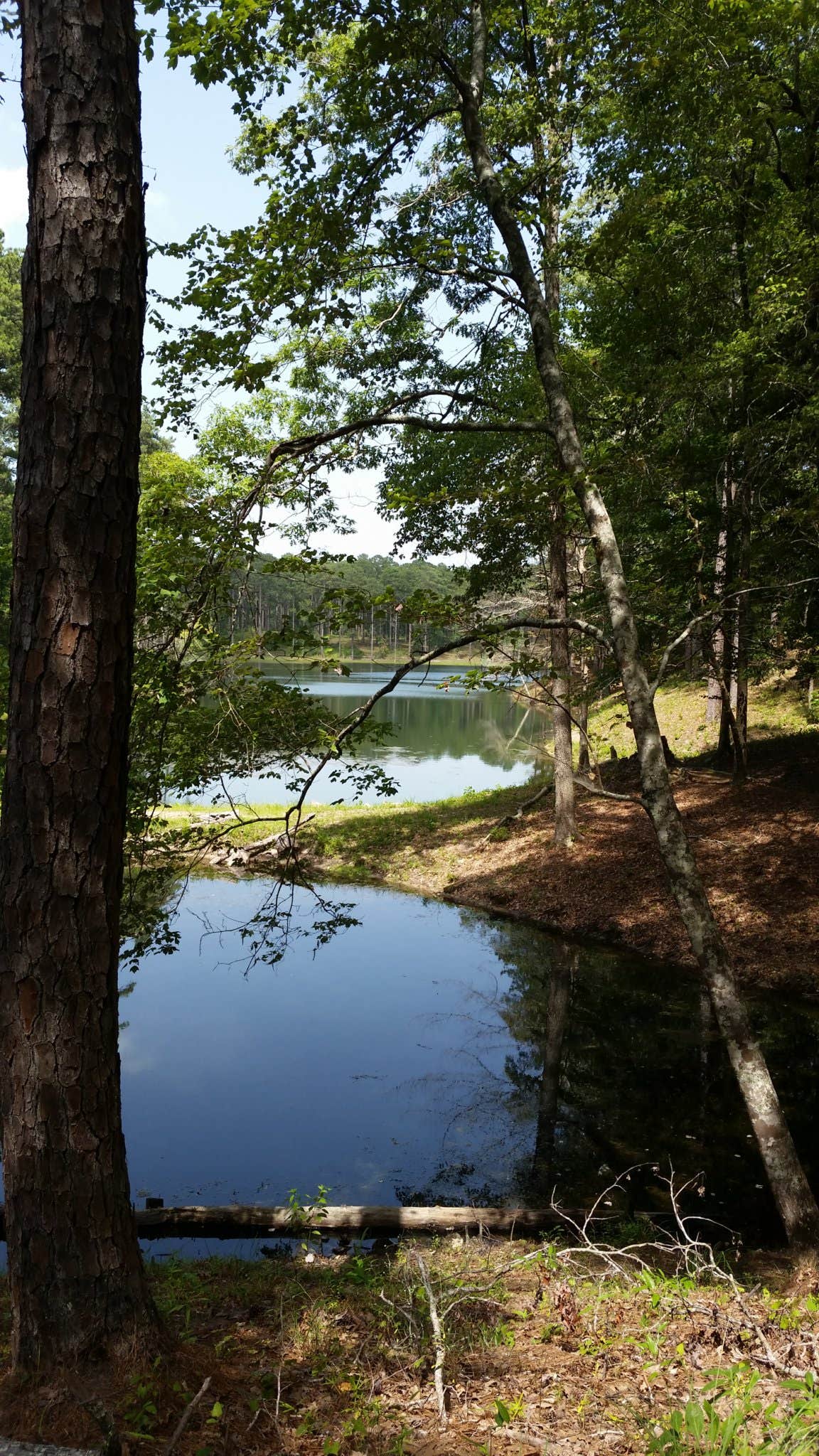 Camper-submitted photo at Gum Springs Recreation Area — Kisatchie National Forest near Winnfield, LA