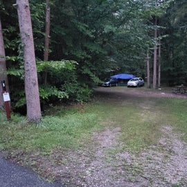 campsite T005