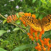 Review photo of Wolf Run State Park Campground by Shannon G., September 26, 2021