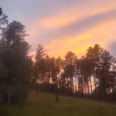 Review photo of RD 356 Dispersed Site Black Hills National Forest by Tucker B., September 26, 2021