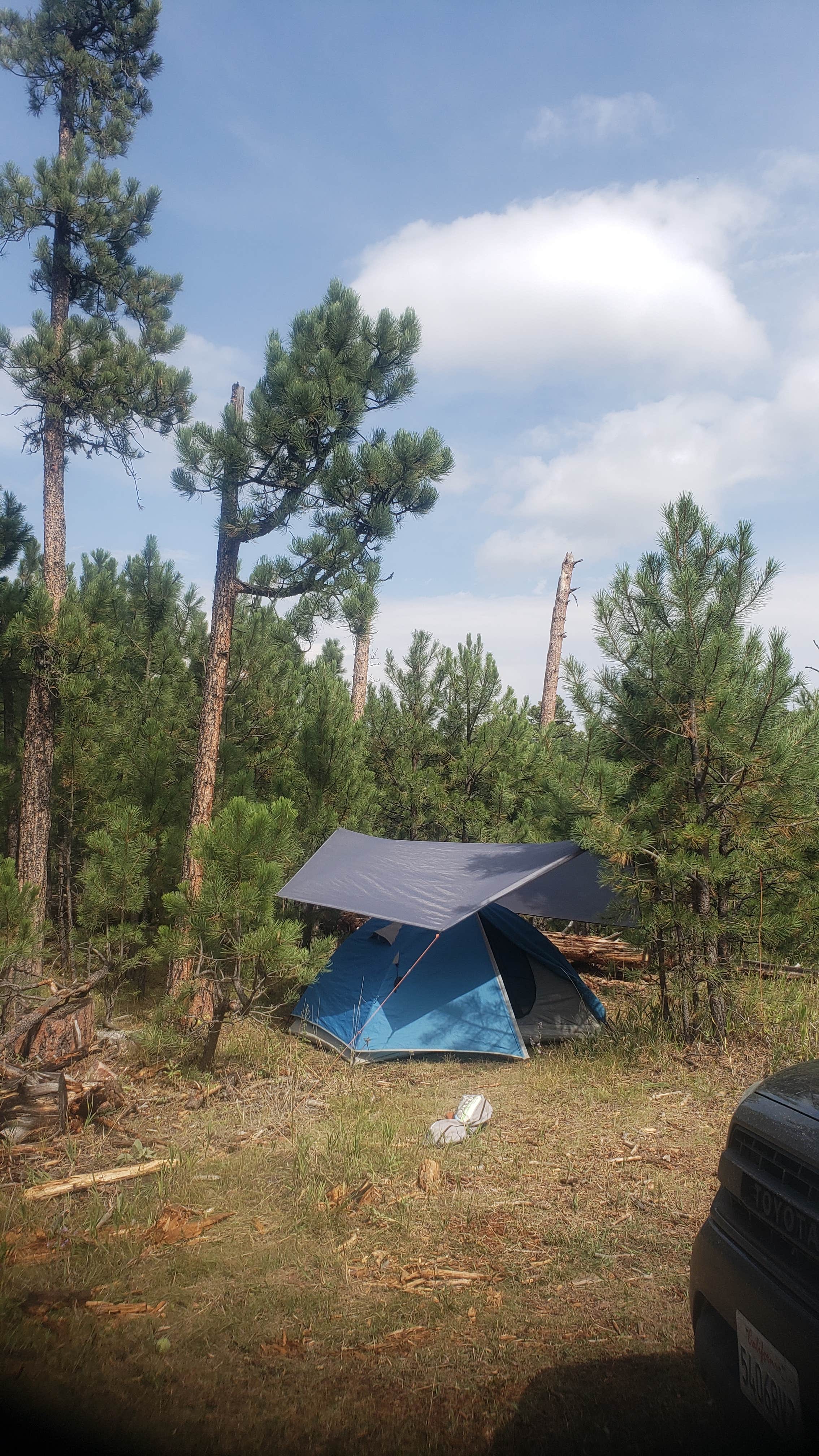 Tucker B.'s photo of tent camping at RD 356 Dispersed Site Black Hills National Forest near Silver City, SD