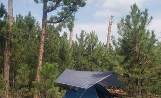 Tucker B.'s photo of tent camping at RD 356 Dispersed Site Black Hills National Forest near Newcastle, WY