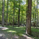 Review photo of Elkmont Campground — Great Smoky Mountains National Park by Joel R., September 26, 2021