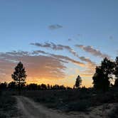 Review photo of Tom Best Spring Road FR117 Dispersed - Dixie National Forest by Destiny and Brandon M., September 26, 2021