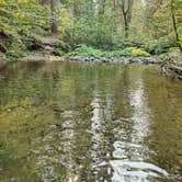 Review photo of McArthur-Burney Falls Memorial State Park Campground by sergio T., September 26, 2021