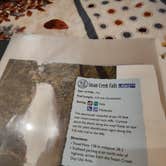 Review photo of Umpqua's Last Resort & Oregon Mountain Guides by sergio T., September 26, 2021