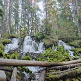 Review photo of Umpqua's Last Resort & Oregon Mountain Guides by sergio T., September 26, 2021