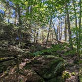 Review photo of Mashamoquet Brook State Park Wolf Den Campground by 175 P., September 26, 2021