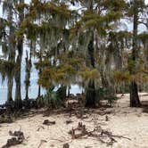 Review photo of Fontainebleau State Park Campground by Brandi L., September 26, 2021