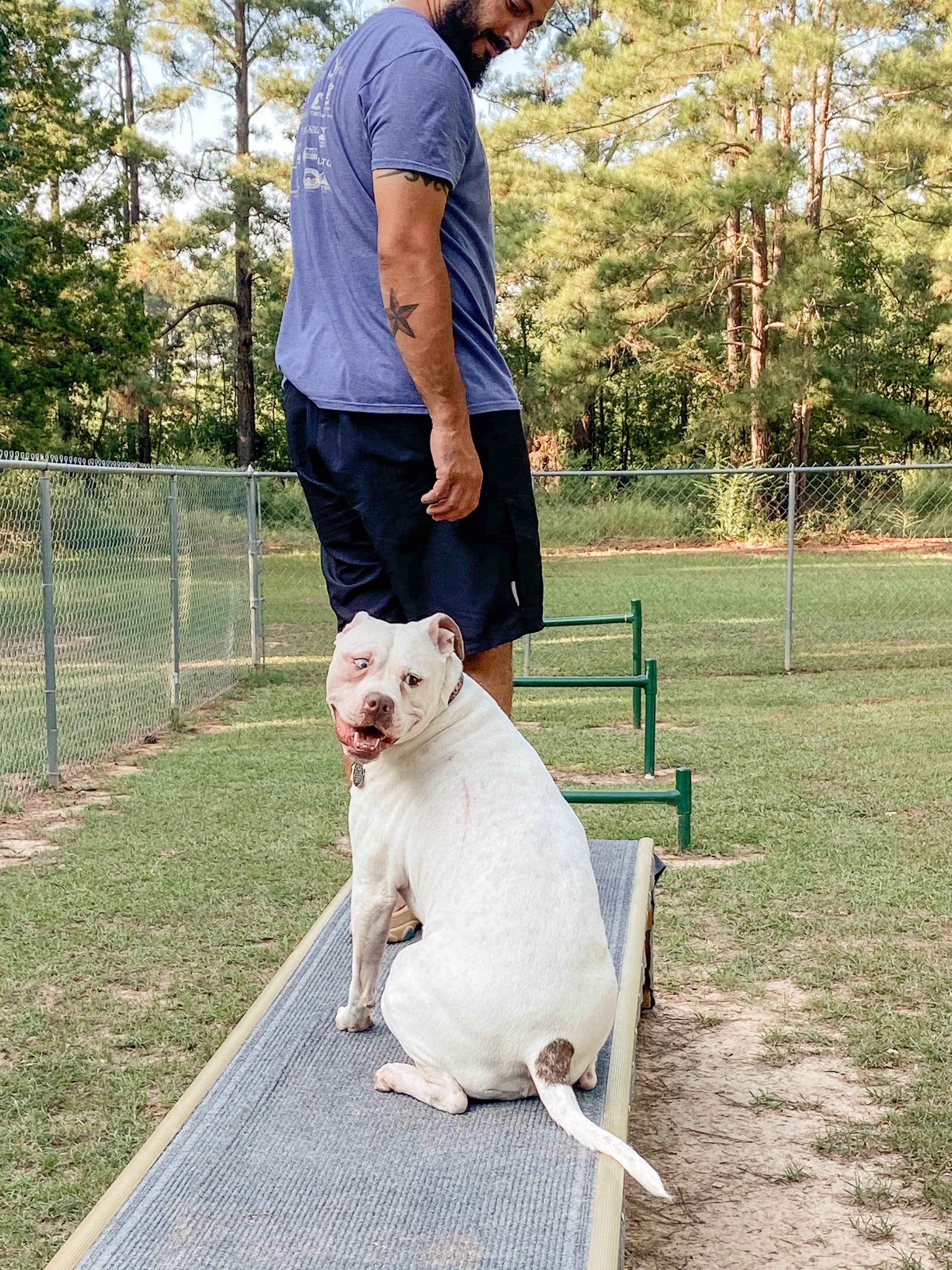 Camper-submitted photo at Shreveport Bossier City KOA near Shreveport, LA