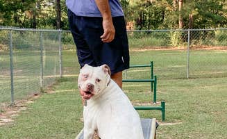 Brandi L.'s photo of camping with pets at Shreveport Bossier City KOA in Louisiana