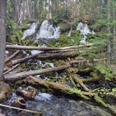 Review photo of Clearwater Falls Campground by sergio T., September 26, 2021