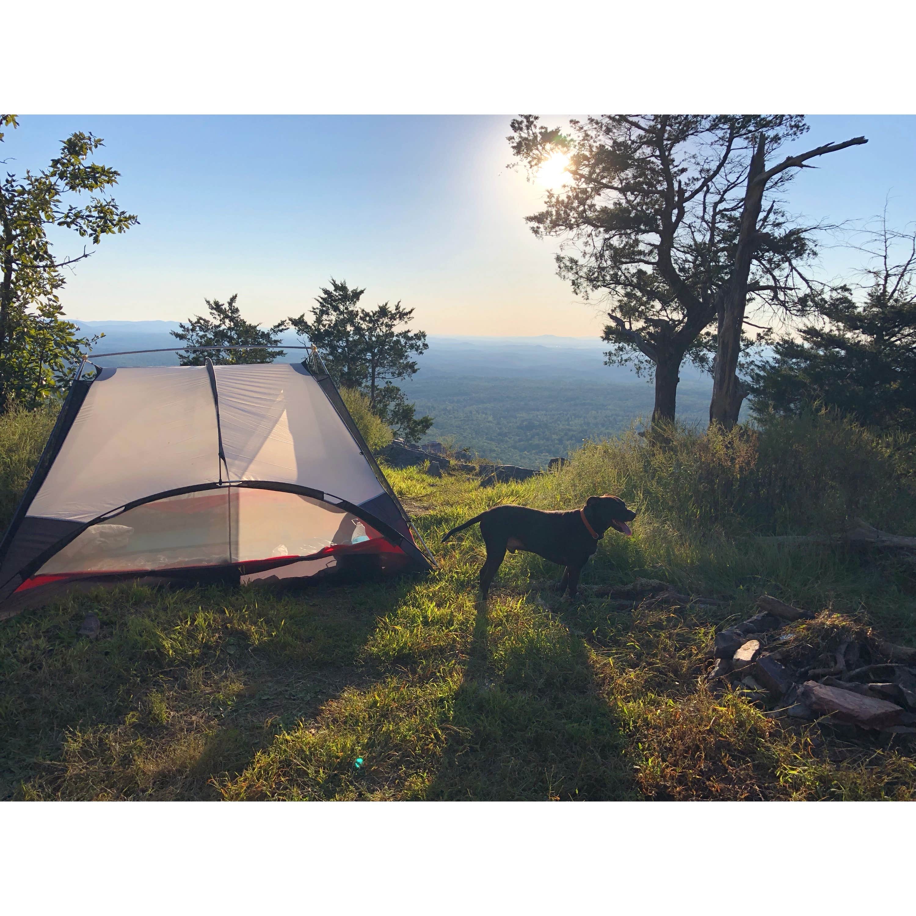 Camper submitted image from Pinhoti Trail Backcountry Campground - 1