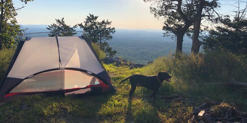 Camper submitted image from Pinhoti Trail Backcountry Campground — Cheaha State Park