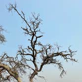 Review photo of China Camp Campground by Binh N., September 27, 2021