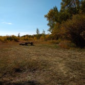 Review photo of Selkirk Primitive Camping by Dexter I., September 27, 2021
