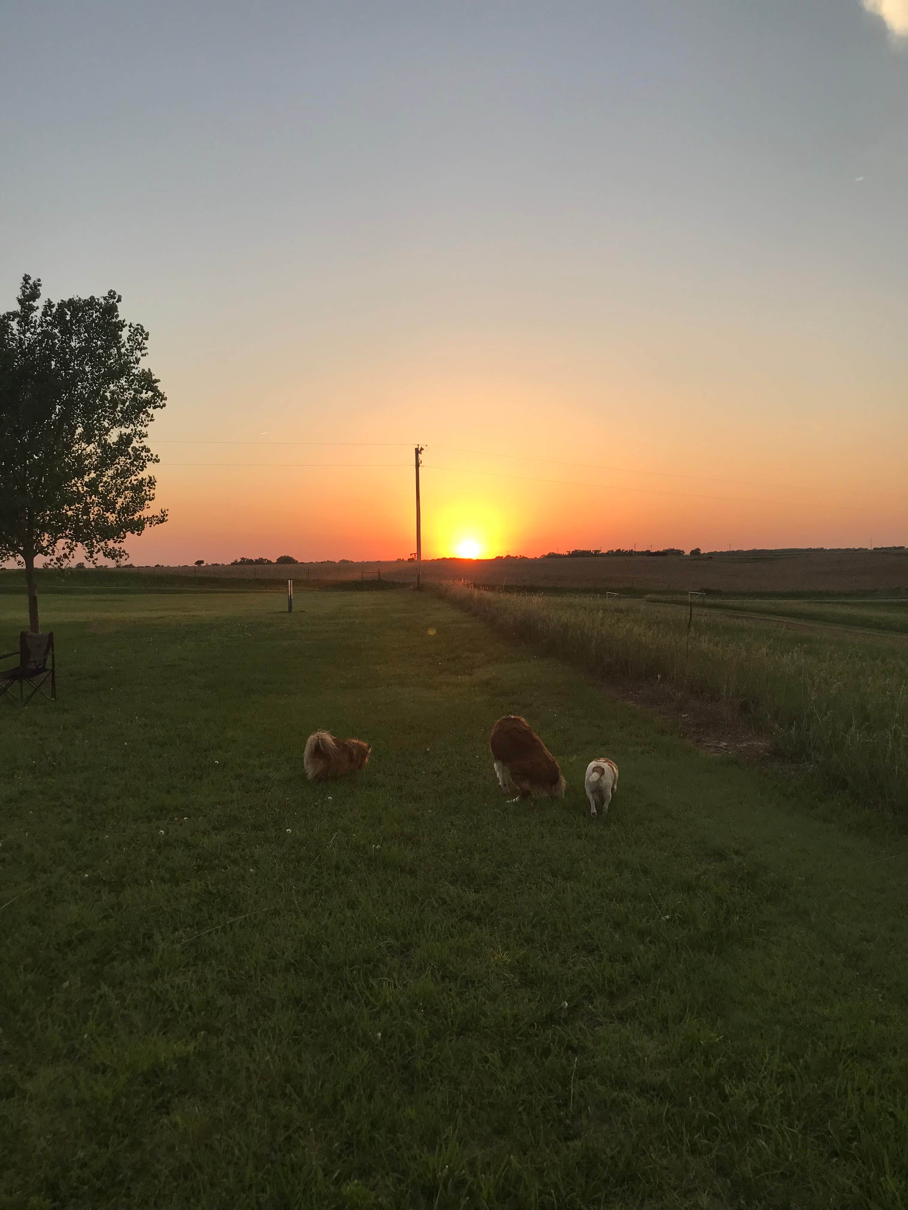 Camper-submitted photo at Mushroom Campground — Webster State Park near Alma, NE
